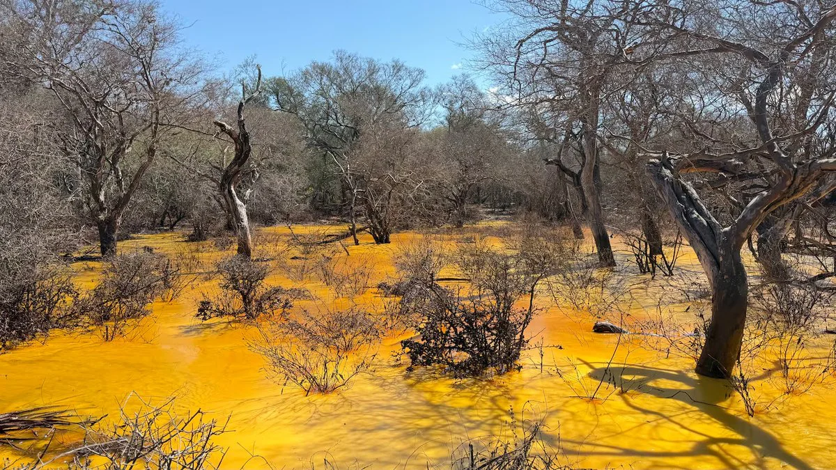 Lagunas tóxicas por pozo petrolero contaminando Foto Jason Mayne / Eltrece