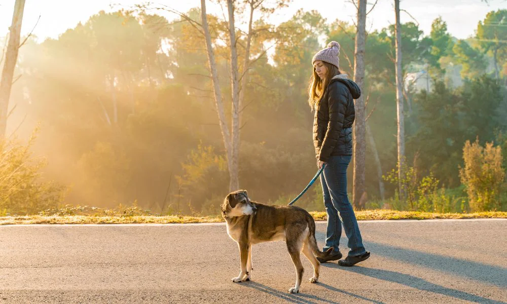 Paseo con mascota. Foto Magnific