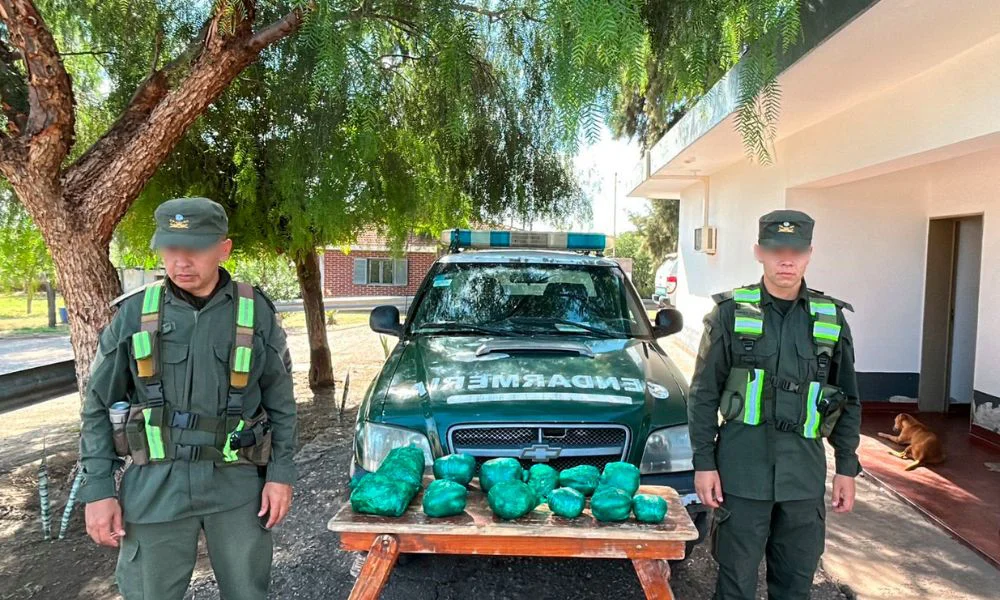 Secuestran hojas de coca en La Rioja