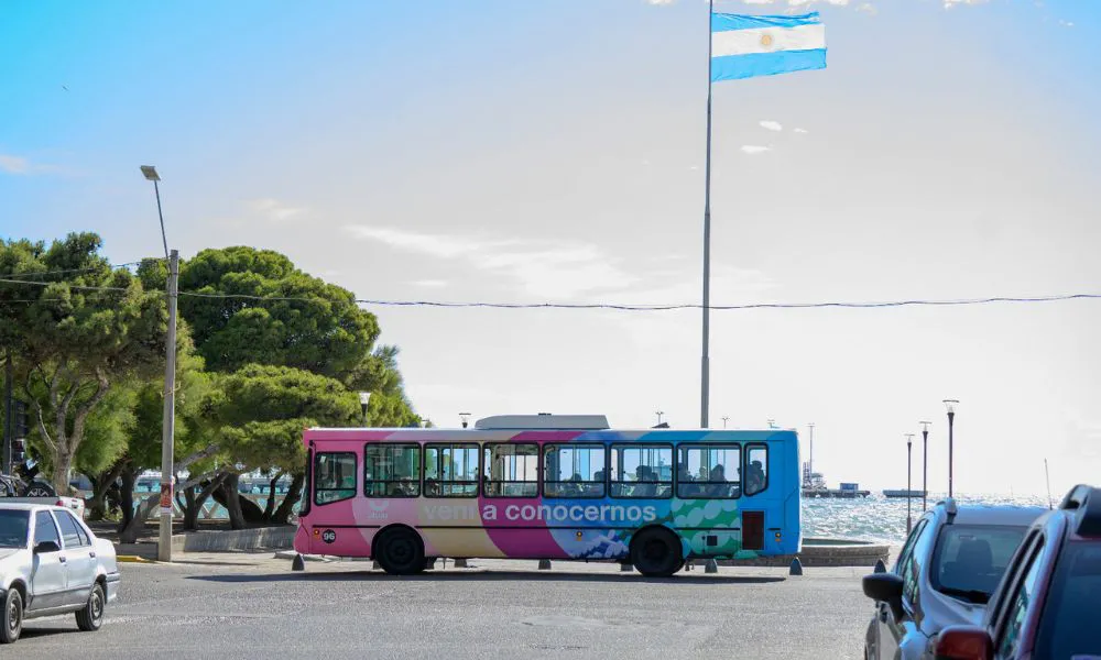 Visitas guiadas en Madryn