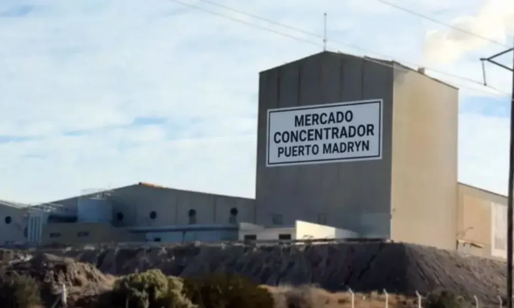 Mercado Concentrador de Puerto Madryn foto ilustrativa generada por La17