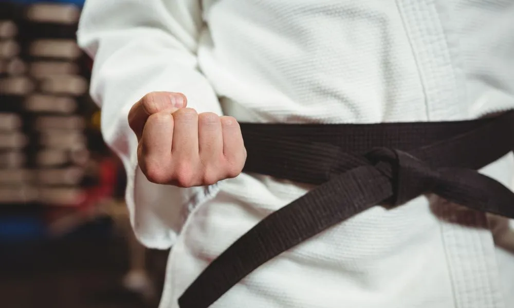 Karate imagen ilustrativa fuente Freepik