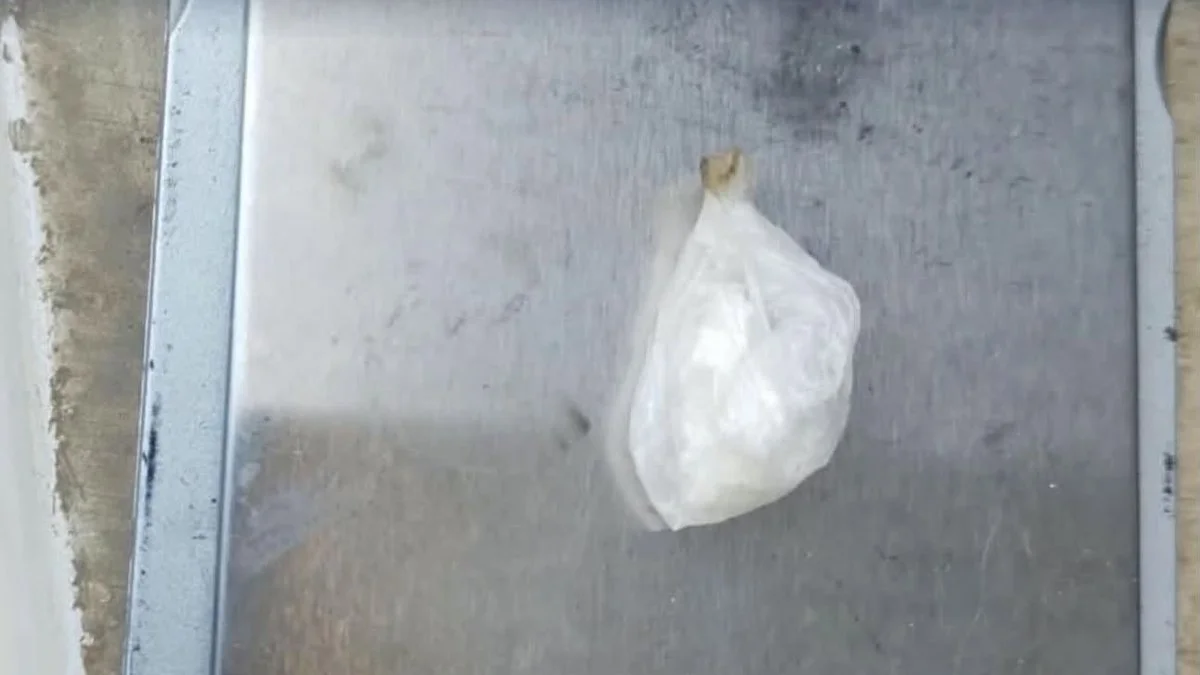 Secuestran clorhidrato de cocaína durante la requisa de un automóvil