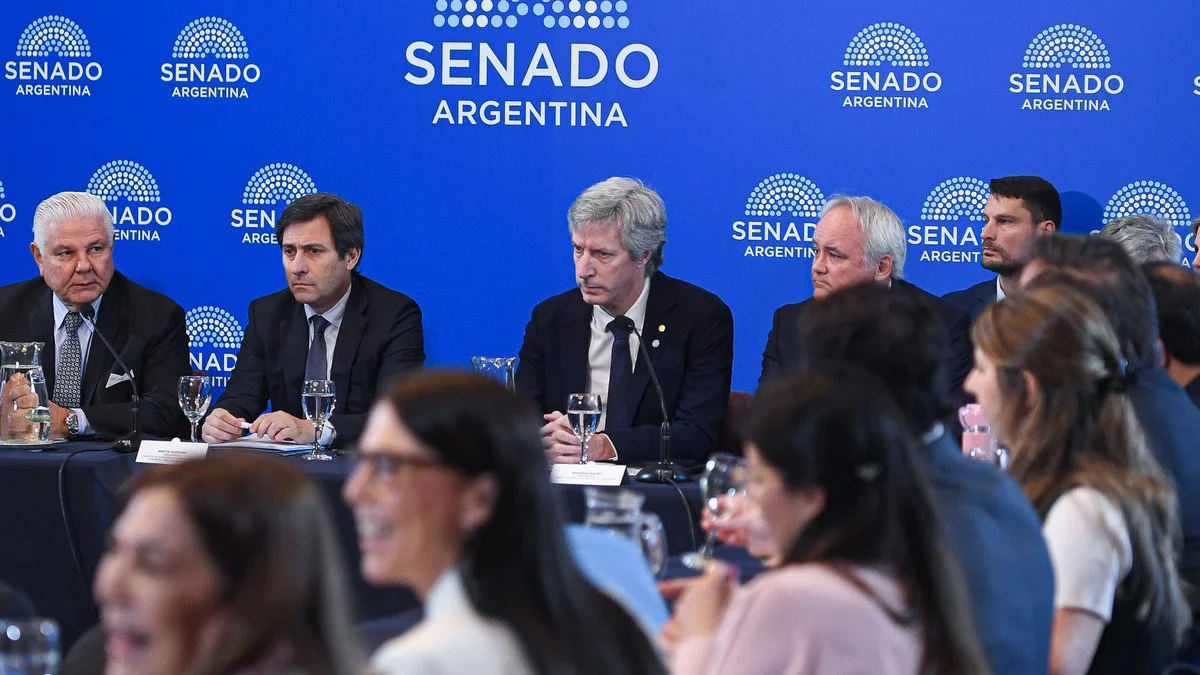 Santiago Bausili en el Senado. Foto X @SenadoArgentina