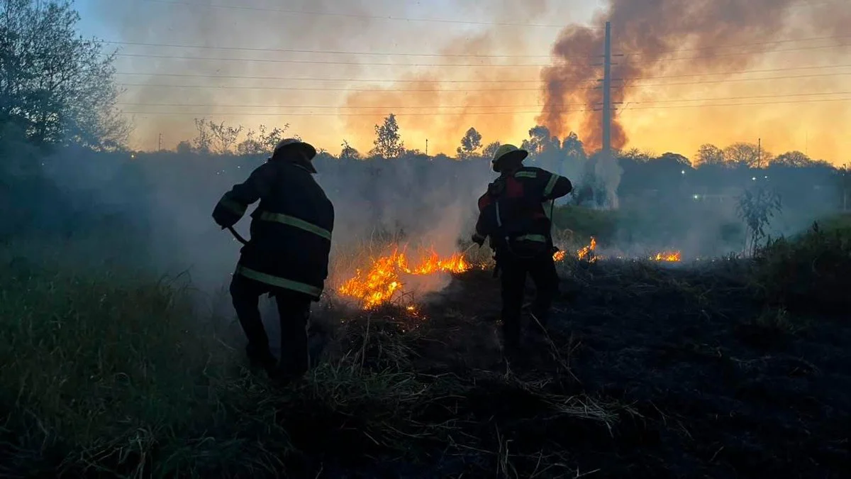 Incendio forestal en la reserva Campo San Juan