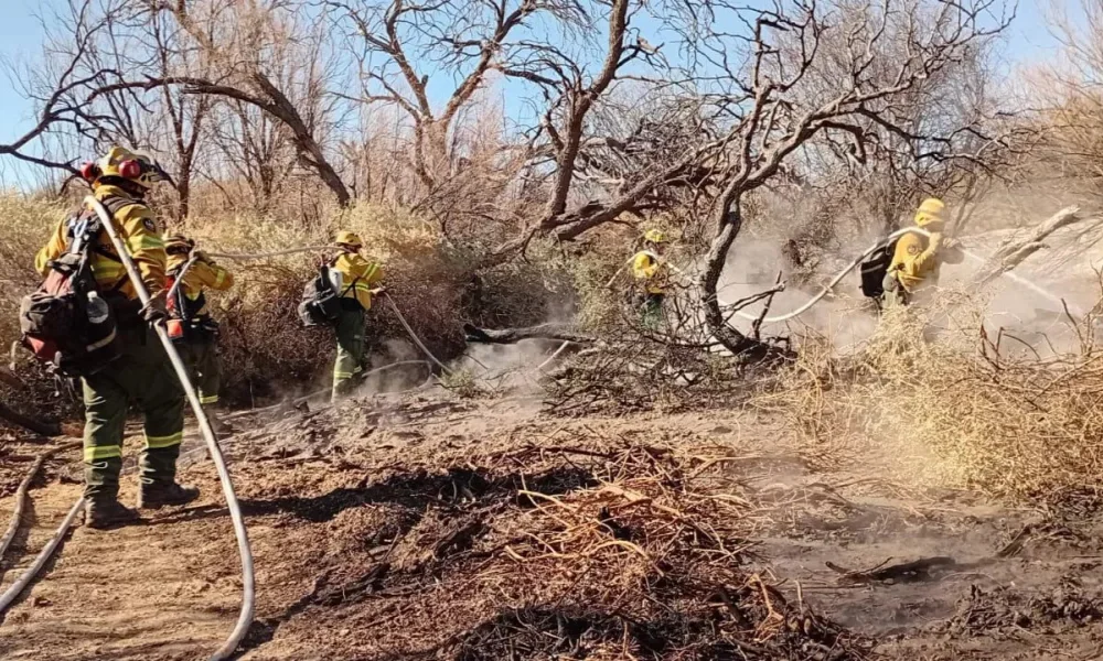 Incendio Cafayate (Imagen Aires Online)
