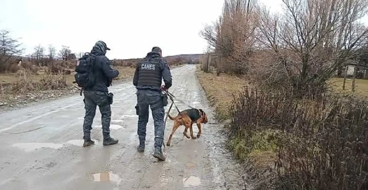 El can de la policía en busca del arma blanca 