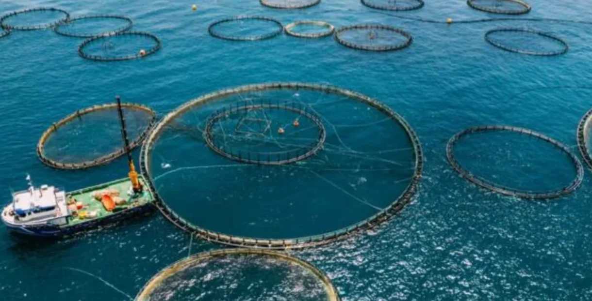 acuicultura