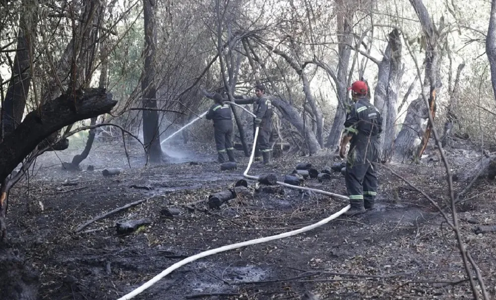 incendio El Bolsón sábado (2)