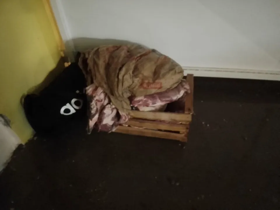 Decomiso en Puerto Madryn 1