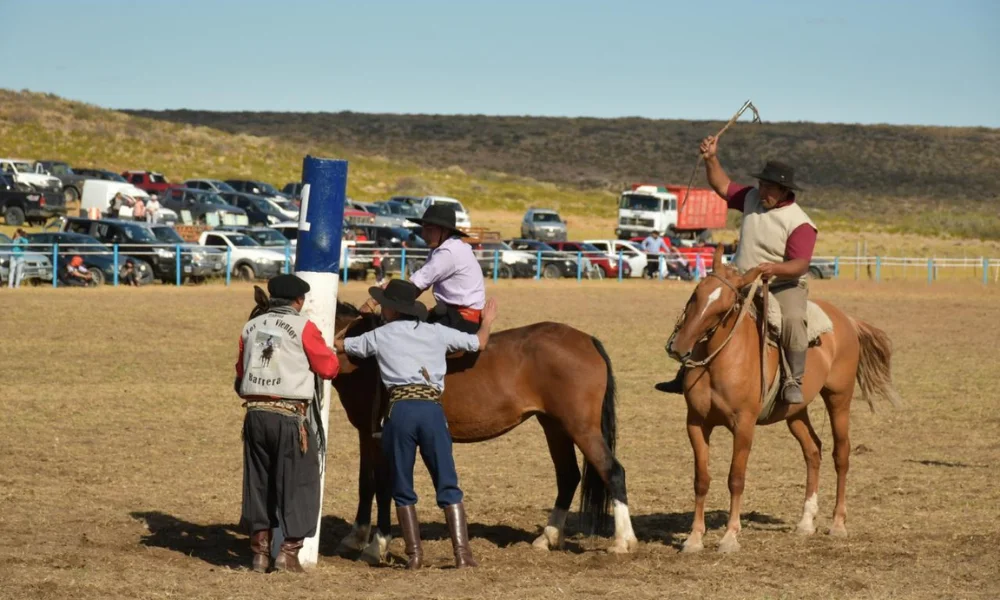Concurso de jineteada