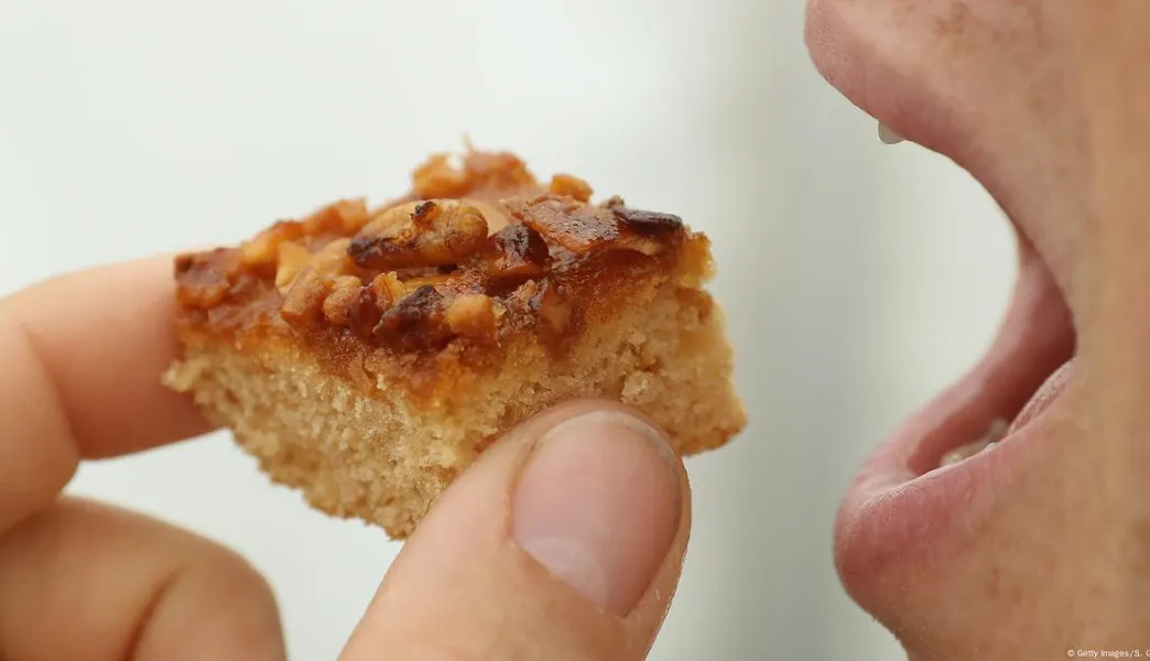 La Unión Europea autoriza la harina de gusano