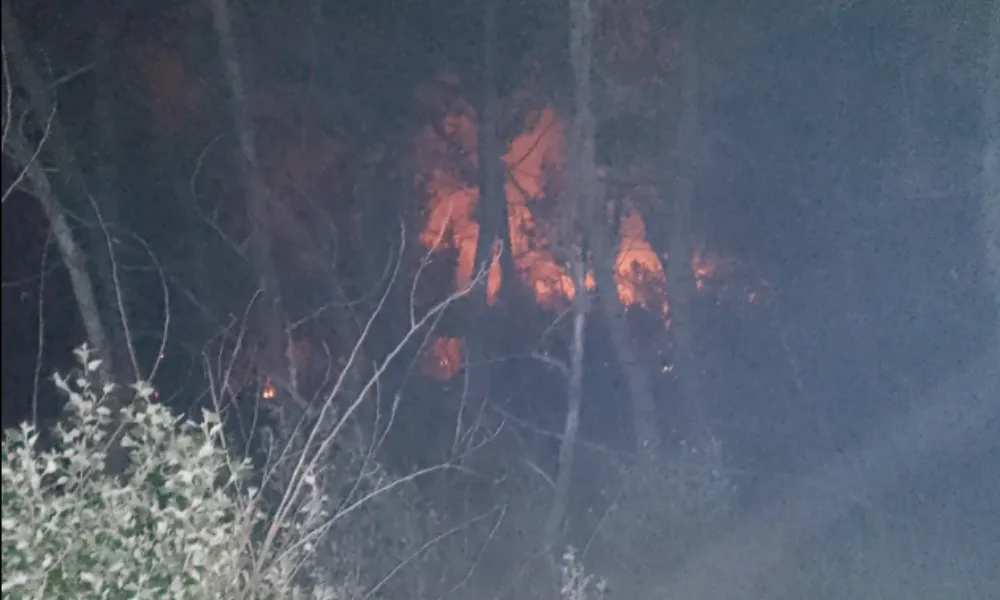 Incendio de Pastizales en Trelew