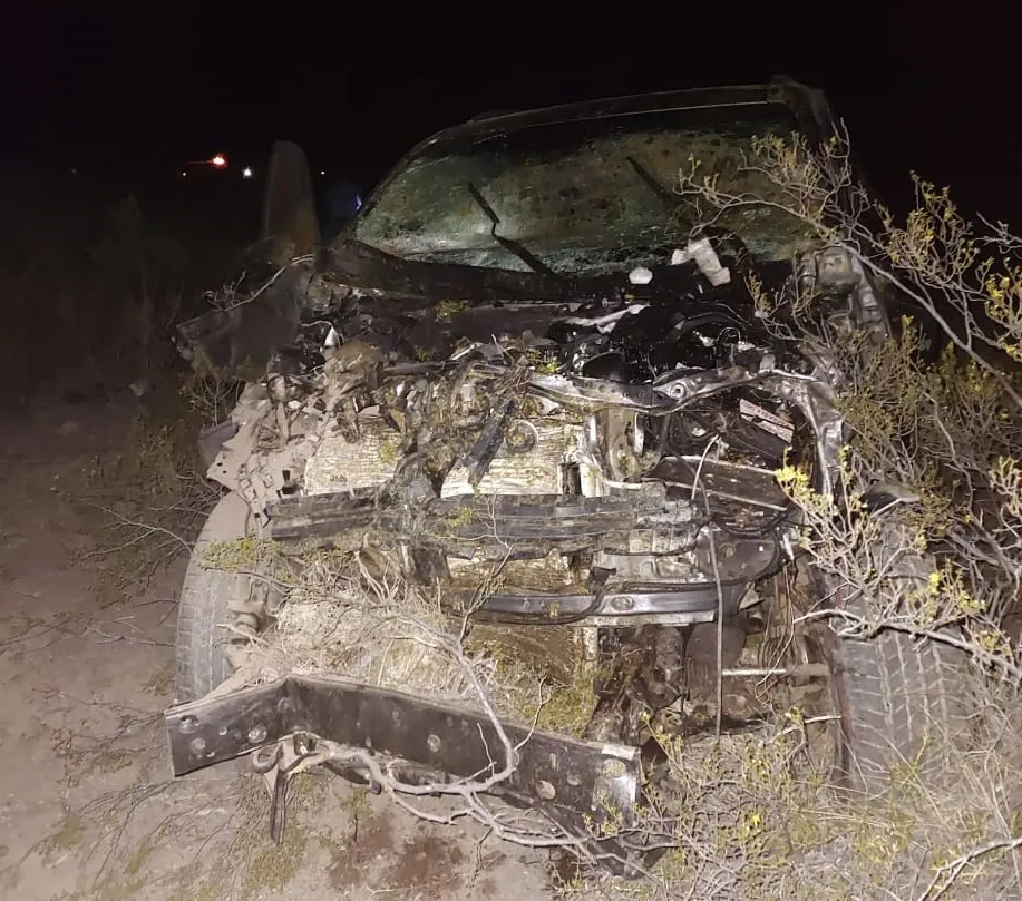Choque frontal con una vaca ruta 25