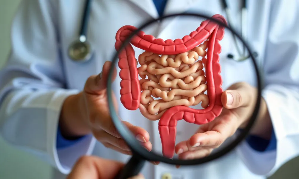 Cáncer de colon (Foto: viktoryvisuals)