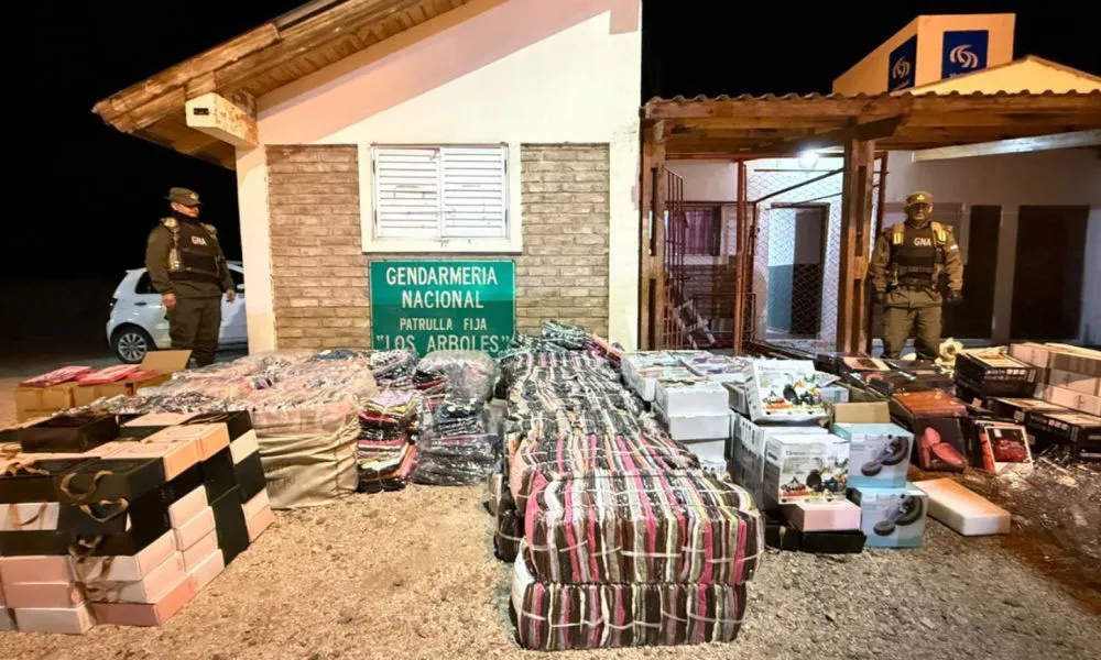 En Mendoza incautaron contrabando millonario durante controles sobre la Ruta 7