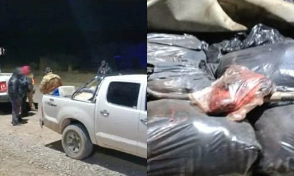 Interceptan camioneta con carne de guanaco y municiones en un control en Treorky