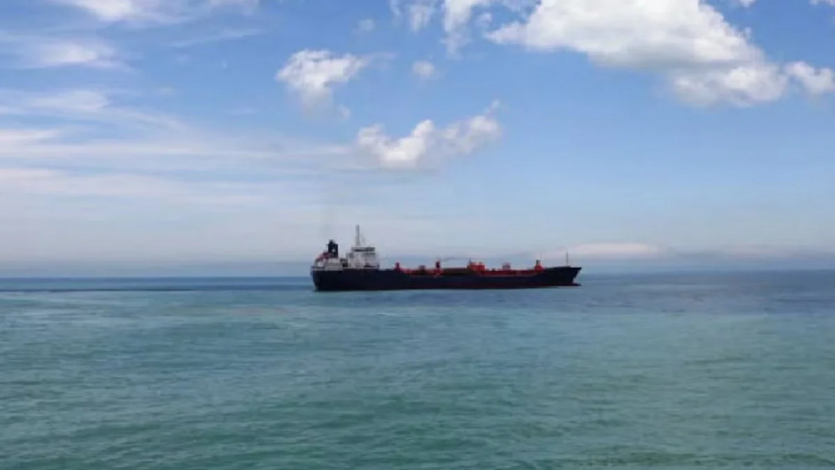 Pesca en Malvinas (Infobae)