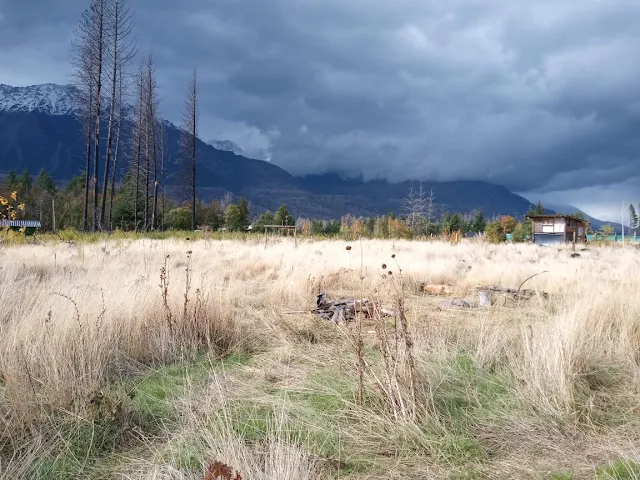 Ocupación Ocupación