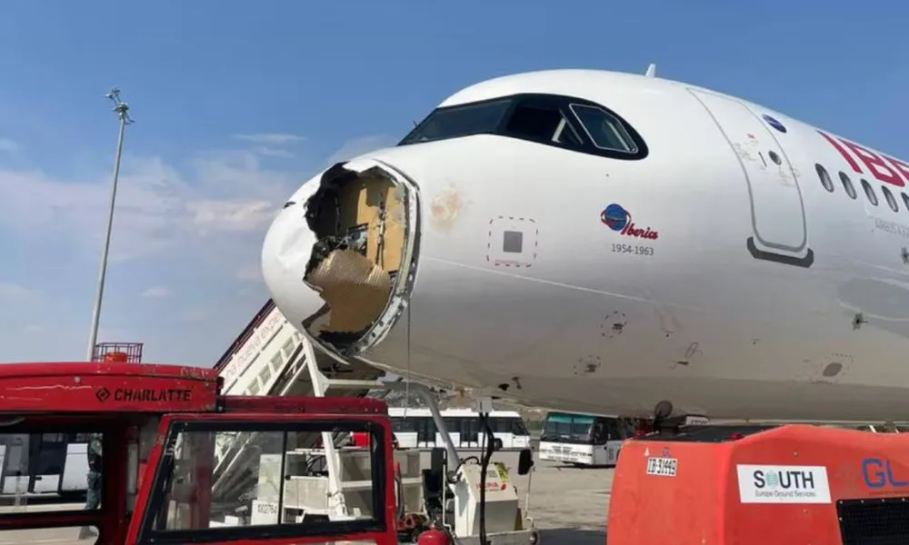 Un ave impactó contra un avión de Iberia en Madrid (Foto: RRSS/LA NACION)