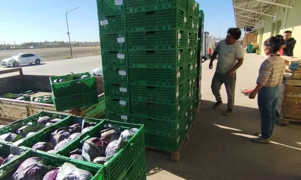 Productores del Valle del Chubut suman un canal nacional