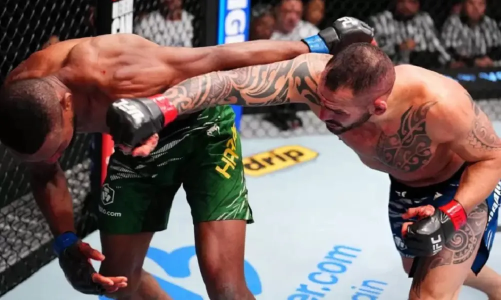 Ponzinibbio