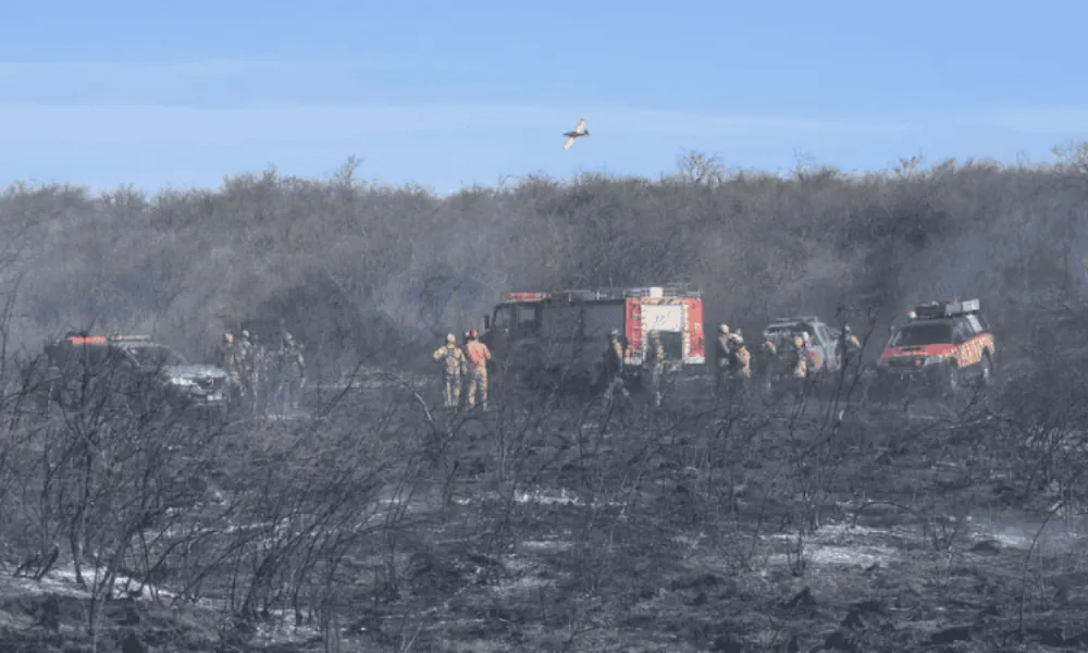 Incendios Córdoba
