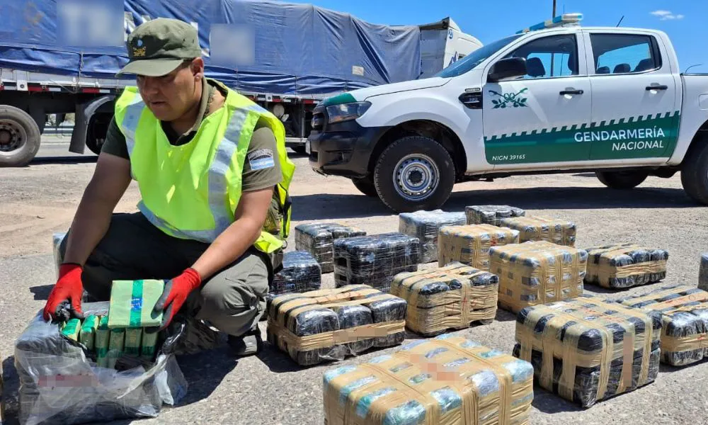 Incautan más de 300 kilos de hojas de coca en un camión que iba a Chile