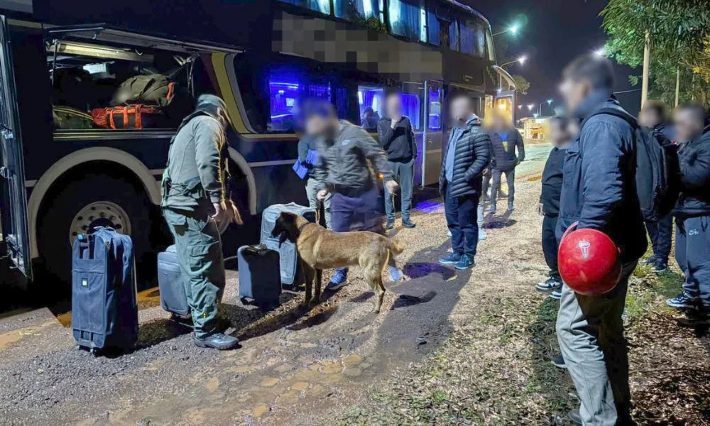 Perro de Gendarmería descubre marihuana