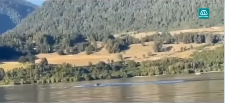 Lago Ranco