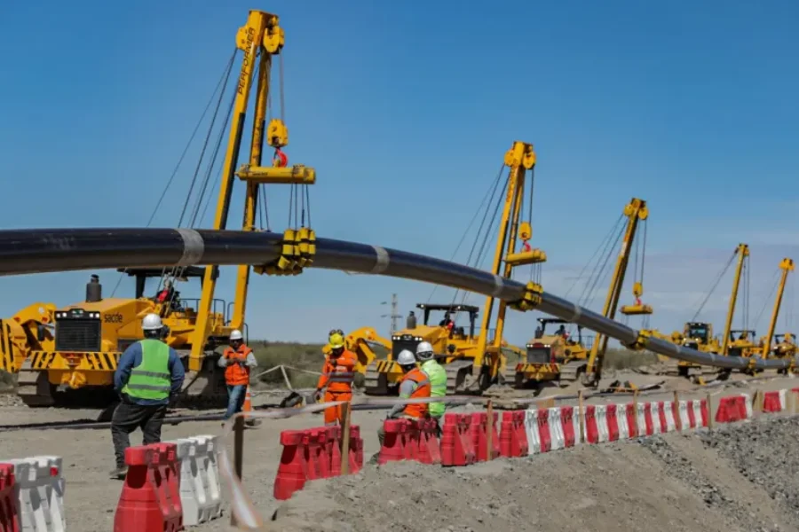 El registro cumple la función central de certificar la condición “Proveedor Rionegrino”