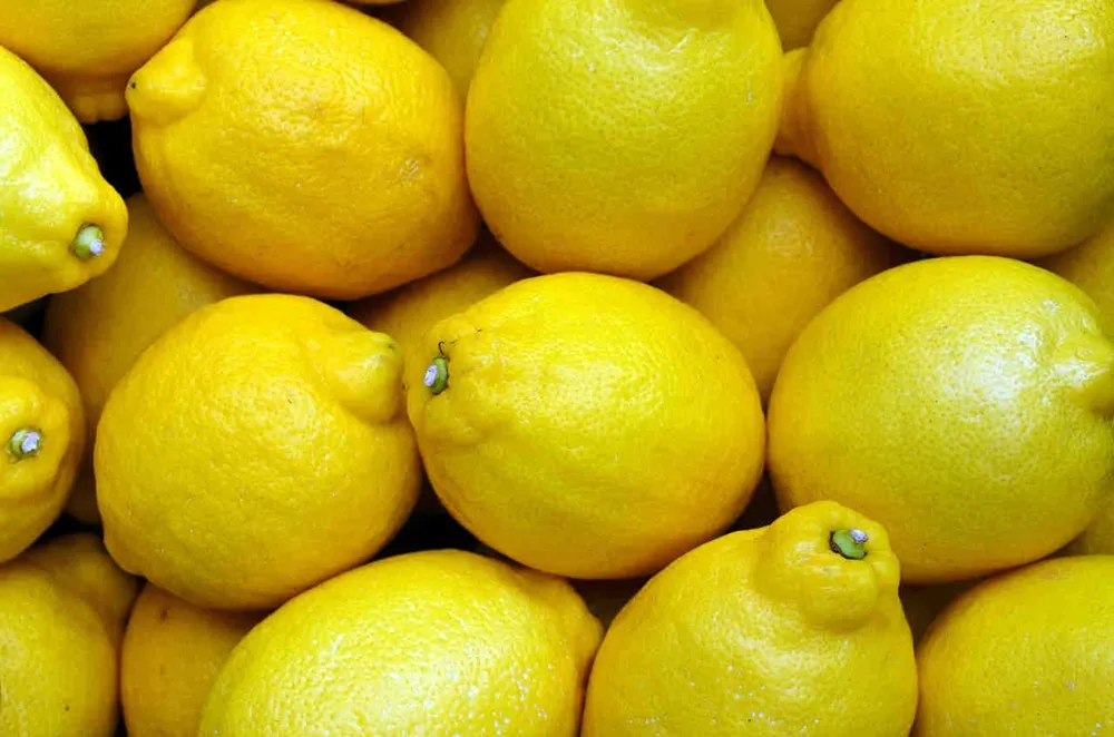 Limón