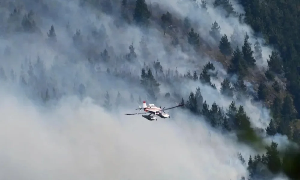 incendio en Los Alerces