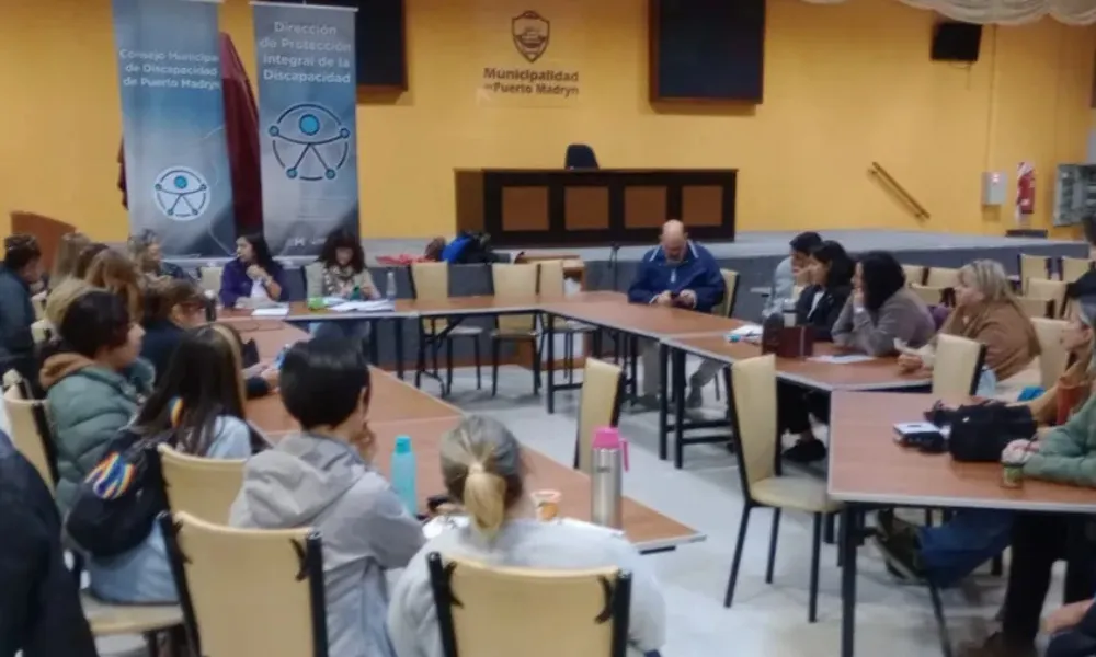 Consejo de discapacidad