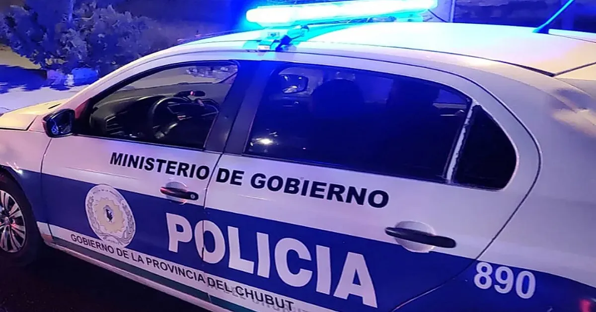 Evadió un control y agredió a los policías