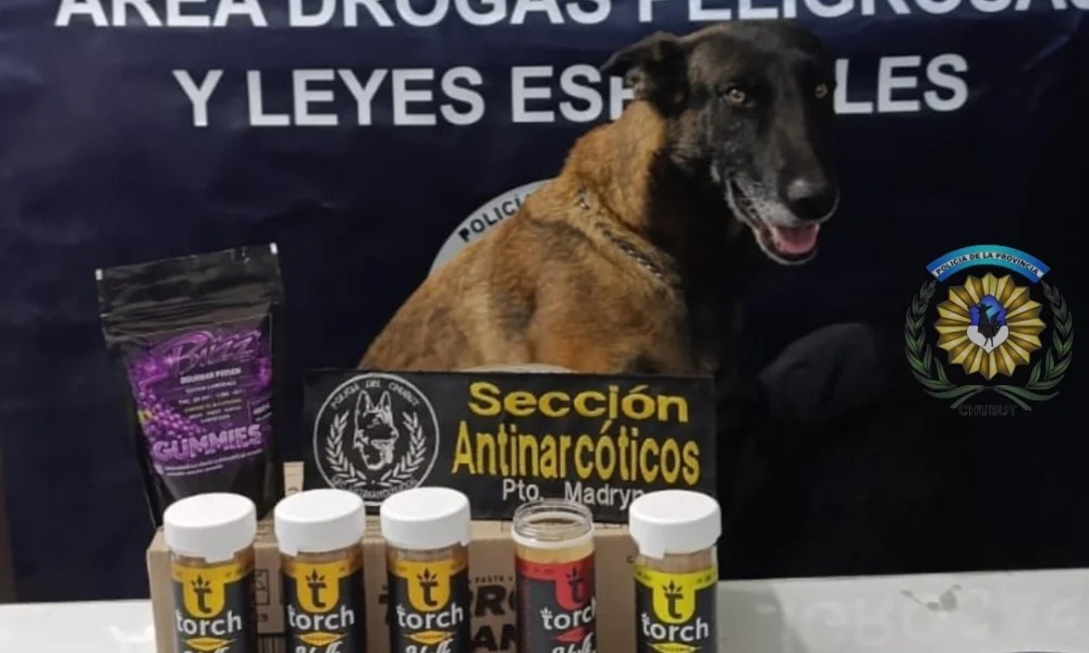 secuestro de gomitas con droga