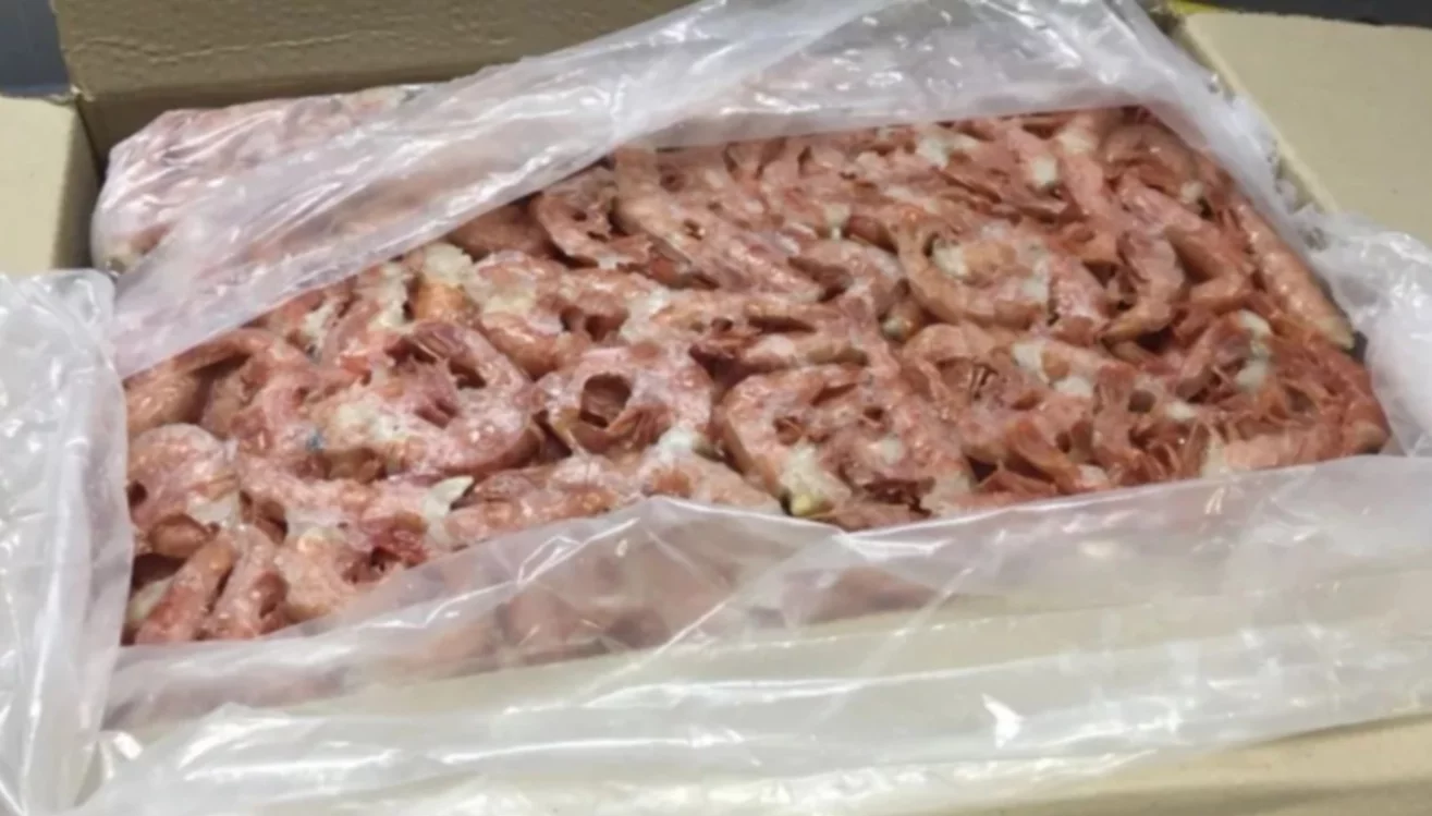 Langostino