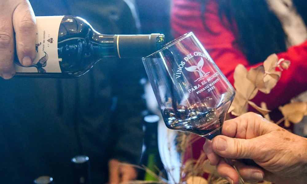 2º Encuentro Provincial de Productores Vitivinícolas