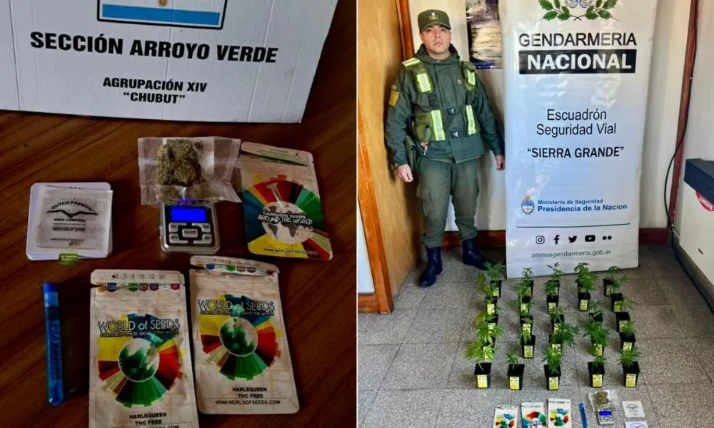 Hallan transporte de marihuana durante un control
