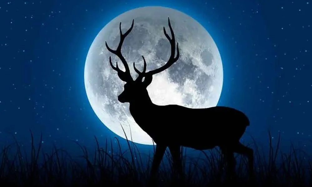 Luna del Ciervo. Foto ilustración Shutterstock/Clarín