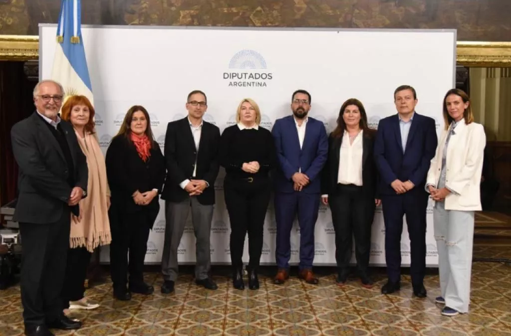 diputados patagonia (2)