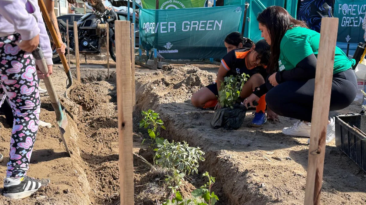 Programa Construyendo Sustentabilidad en Madryn