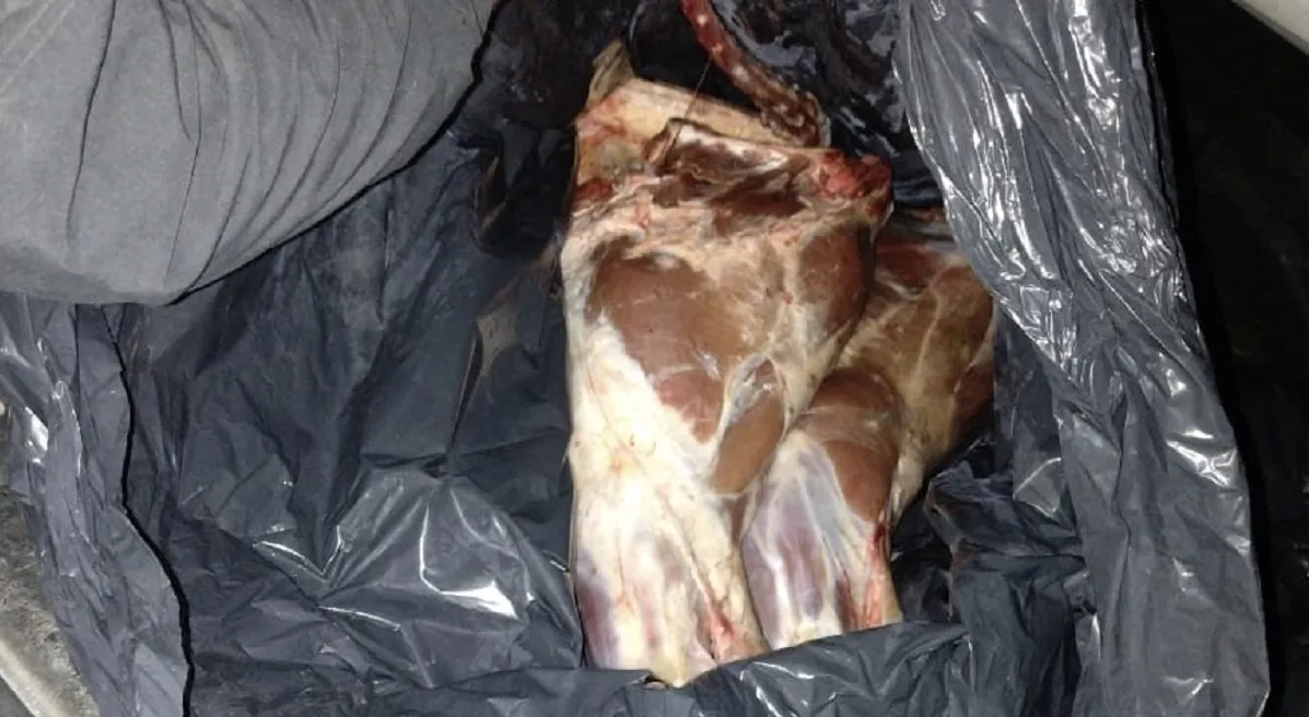 Carne decomisada