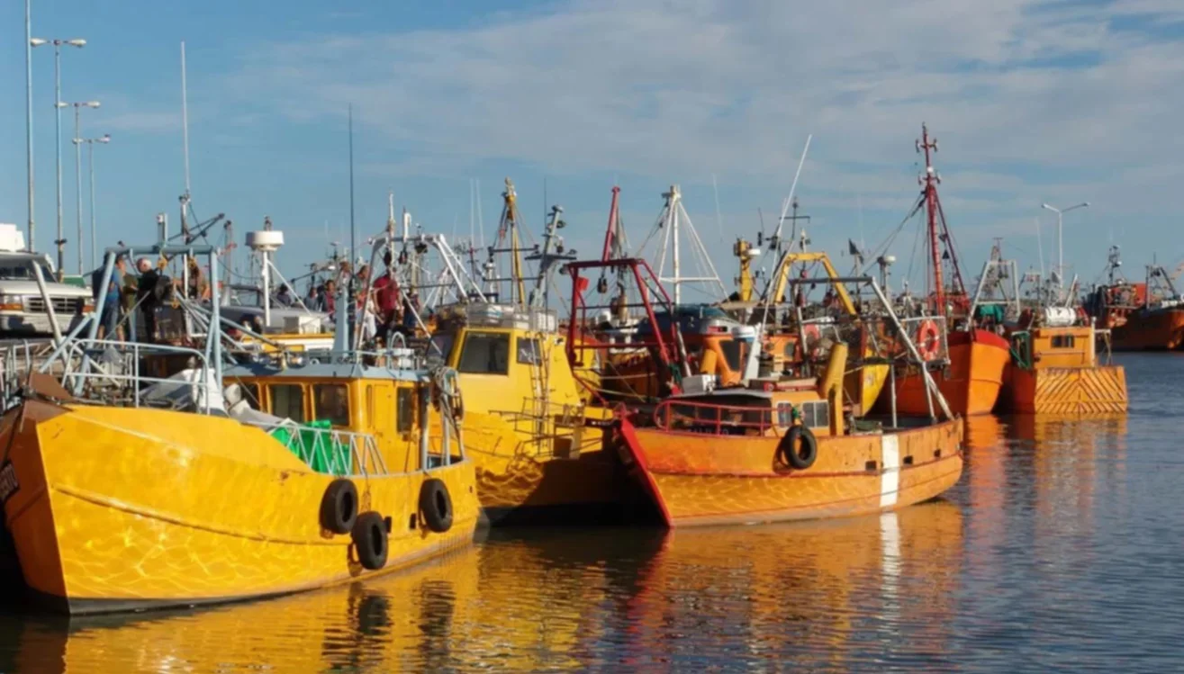 flota amarilla