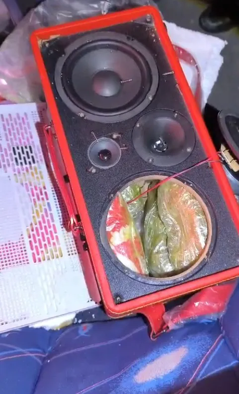 Ocultaban marihuana dentro de un parlante