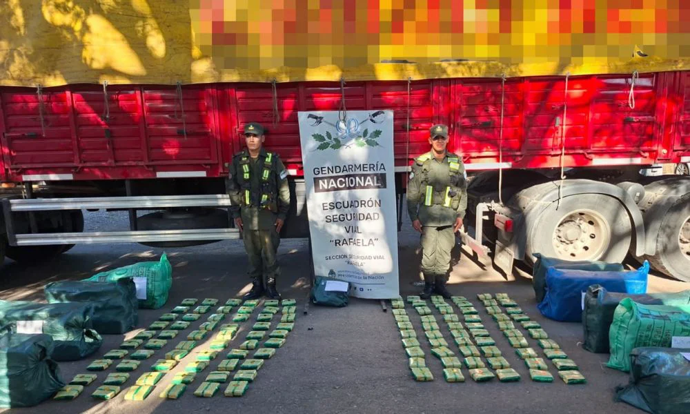Un camión cruzaba Santa Fe con 290 kilos de hojas de coca