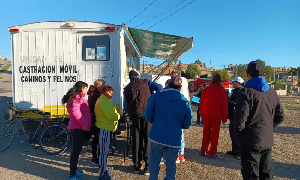 Campaña de castracion