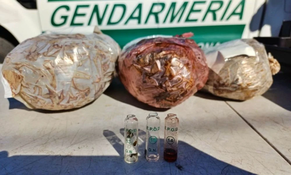 Secuestran marihuana en un parlante en la Ruta 34