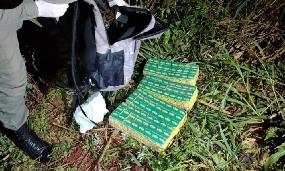 Gendarmería secuestró en Iguazú 96 frascos de ketamina