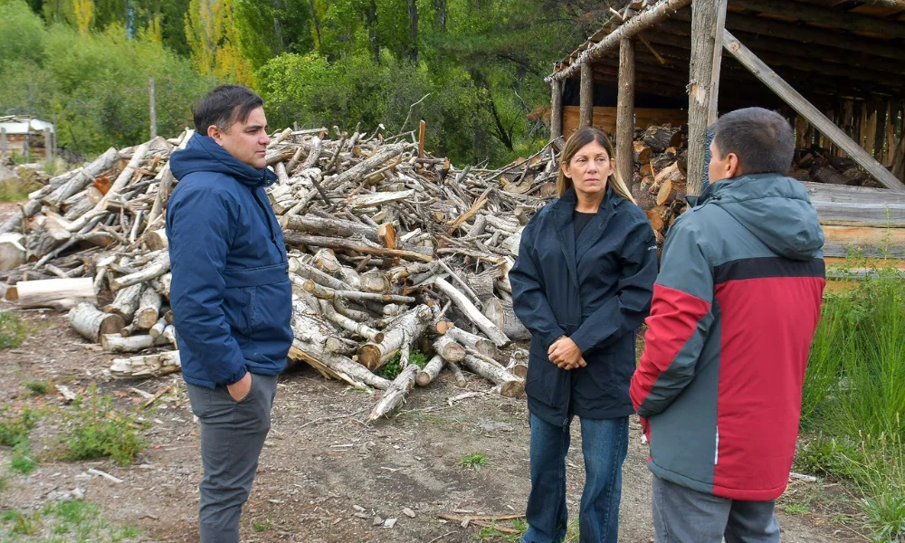 La llegada anticipada del invierno obliga a activar mecanismos de asistencia que permitan sostener la calefacción en hogares.